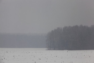 Winter landscape, snowfall