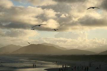 Fototapeta na wymiar Seagulls flying over the beach during the sunset. Mountains in the background. Colorful sky with clouds. Joaquina's beach, Florianópolis, Santa Catarina / Brazil