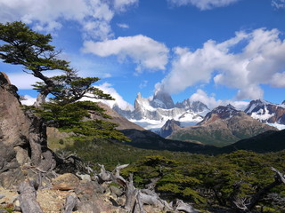 Fototapeta na wymiar The trail towards Laguna Torre near El Chalten Patagonia Argentina