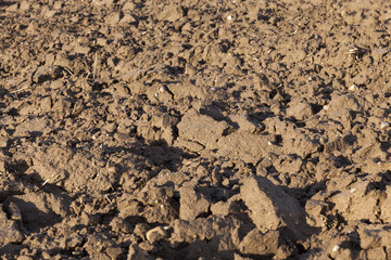 Closeup shot of Soil texture