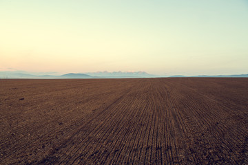 Awesome view of plowed farmland. Autumn dawn in pastel colors. Agricultural themed background.
