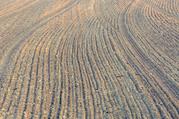 Naklejka premium Awesome view of plowed farmland. Autumn dawn in pastel colors. Agricultural themed background.