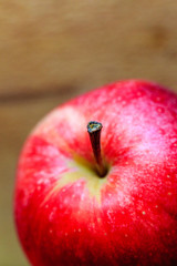 Apples on display at Troy NY Farmer's Market in natural light