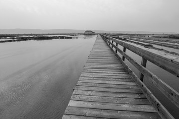 Greyscale image of Secovlje Saltpans