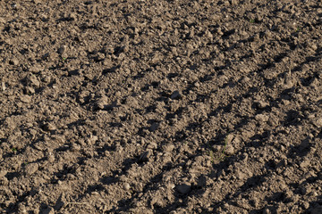 plowed field