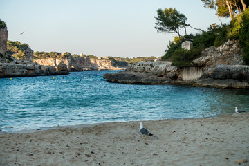 Strand auf Mallorca
