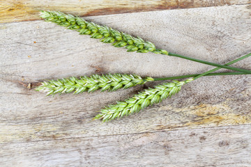 three green wheat