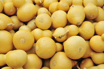 Many of the gourd