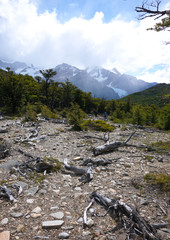The trail towards Laguna Torre near El Chalten Patagonia Argentina
