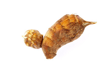 Taro on a white background