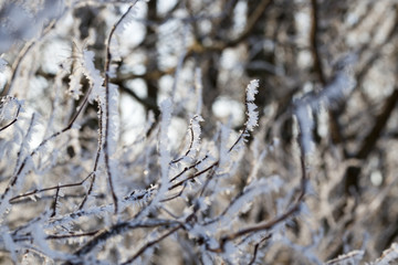 crystal snow