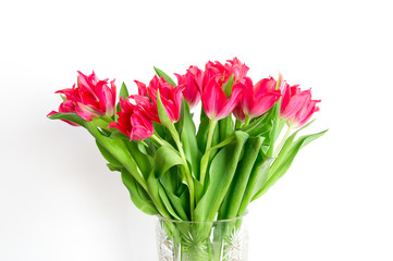 Bouquet of red tulips on white background.