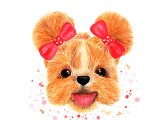 Muzzle of a shih-tzu with two braided red bows. Print with splashes and blots. Watercolor illustration. Graphics for T-shirts, drawing for cloth, children's things.