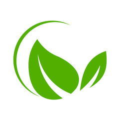 leaf logo design for nature icon or agriculture product