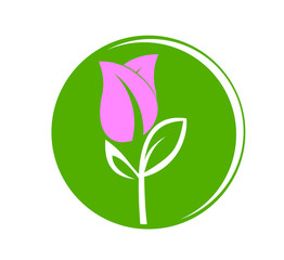 leaf logo design for nature icon or agriculture product