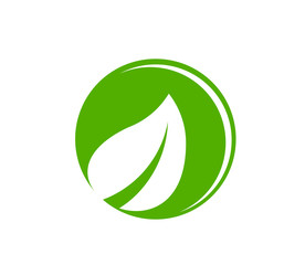 leaf logo design for nature icon or agriculture product