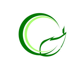 leaf logo design for nature icon or agriculture product