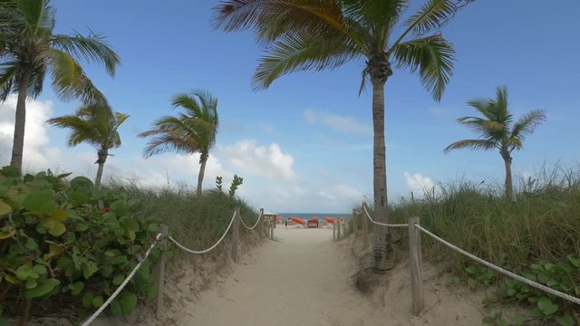 Walkway in Miami Beach 
