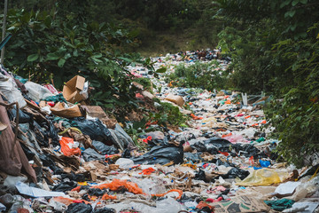 sanitary landfill inside forest - garbage dump, waste desposit - environmental pollution
