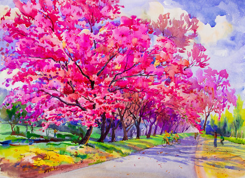 Painting watercolor landscape; pink color of Wild himalayan cherry.