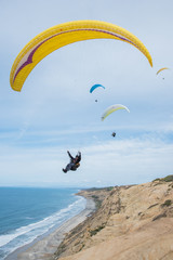 Paragliders over the cliffs at Blacks Beach Torrey Pines in San Diego over the cliffs of the coastline