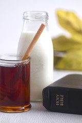 The land of Israel was flowing with milk and honey.  It was God's way of communicating the prosperity of the land.
