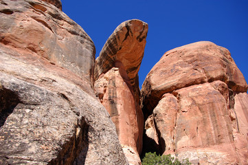 Canyon country, red rock formations and blue sky in the Bears Ears wilderness in Southern Utah.