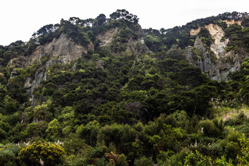Naklejka premium Putangirua Pinnacles, New Zealand