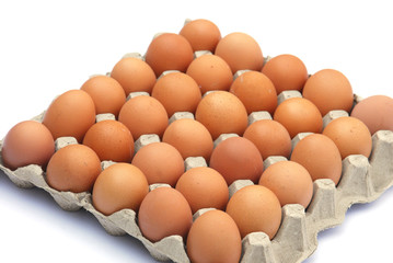 close up on brown eggs in egg box isolated on white background
