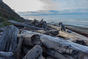 Rocks and driftwood in the sand on the beach with waves in background