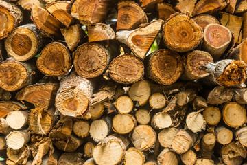 Closeup pattern of cutting wood stack for background use
