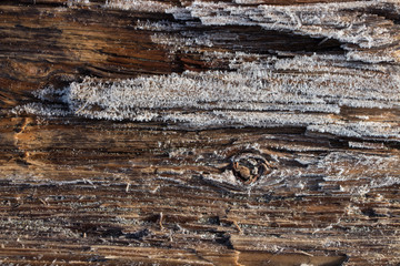 Hoar frost on log close-up