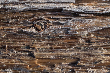 Hoar frost on log close-up