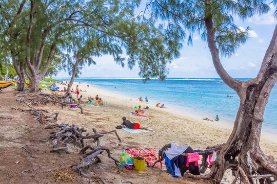 plage de l'Hermitage sous les filaos, Saint-Gilles, &icirc;le de la R&eacute;union 