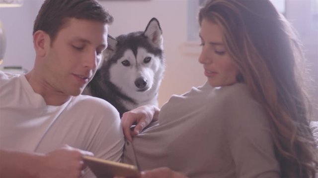 Young loving couple laying on there bed while their dog relaxes with them