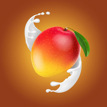 Mango in milk splash. Yogurt or mango dessert realistic vector illustration