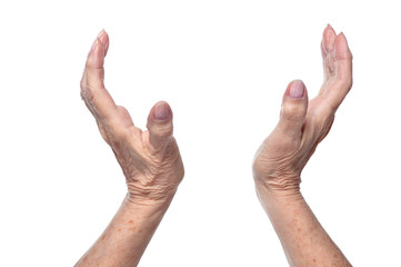 Hands of senior woman