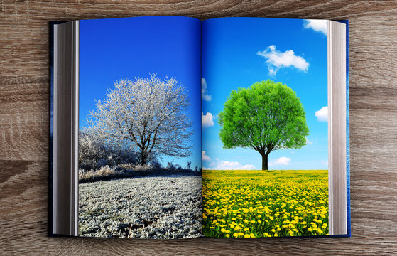 Picture of winter and spring landscape in the book. Concept of change season.