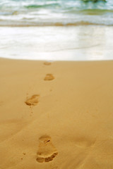 Footprints of a man's bare feet on the sand from the ocean to the shore.