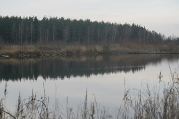 Осень. Озеро.