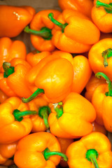 colorful bell peppers, natural background