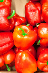 colorful bell peppers, natural background