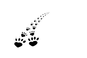 Traces of the animal leaving. Mammal paw prints on white background.
