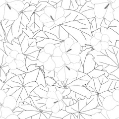 Hibiscus syriacus Outline - Rose of Sharon Background