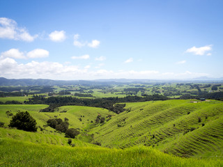 Beautiful Green New Zealand Landscape over a Farm Looking Out to Sea near Ruakaka, North Island New Zealand