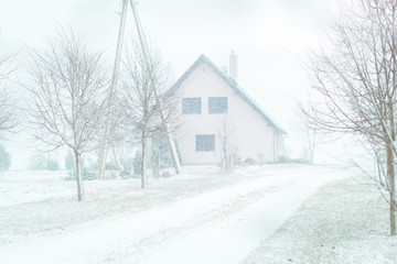 Naklejka premium Blizzard at farm in countryside. Fields covered in fog, snow covered trees.