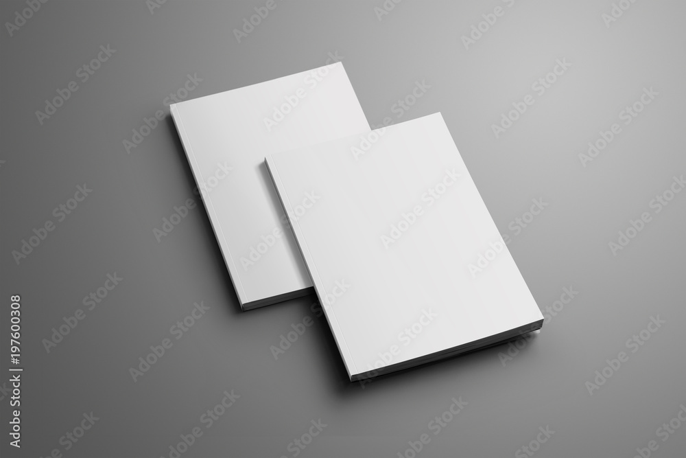 Poster two blank closed a4, (a5) brochures with soft shadows isolated on gray background.