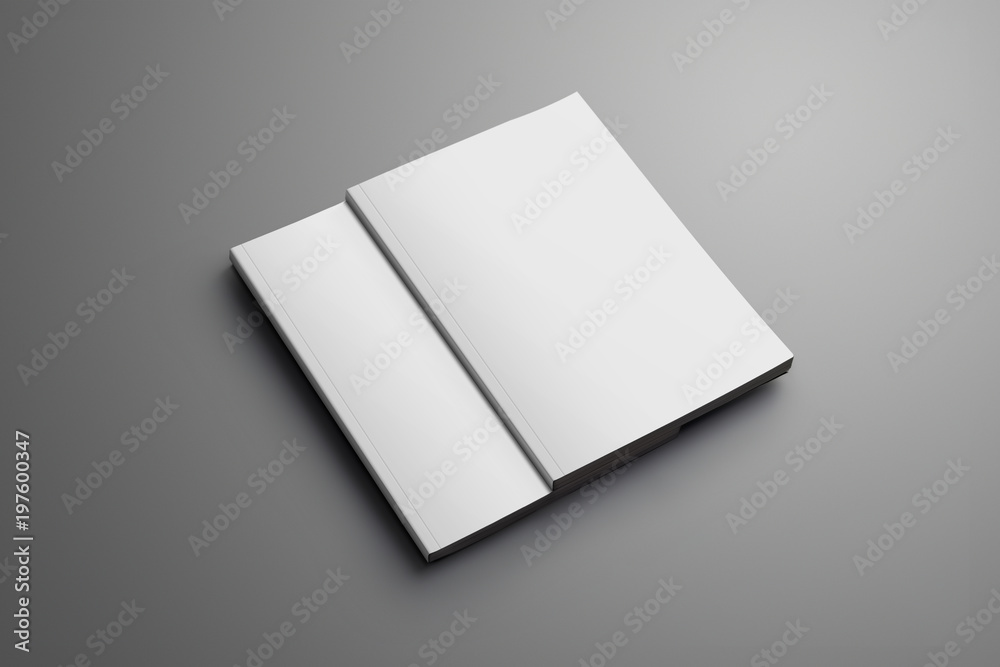 Poster two blank closed a4, (a5) magazines with soft shadows isolated on gray background.