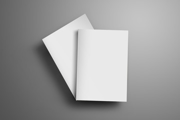 Two blank closed A4, (A5) magazines with soft realistic shadows isolated on gray background.