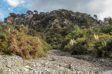 Fototapeta na wymiar Putangirua Pinnacles, New Zealand